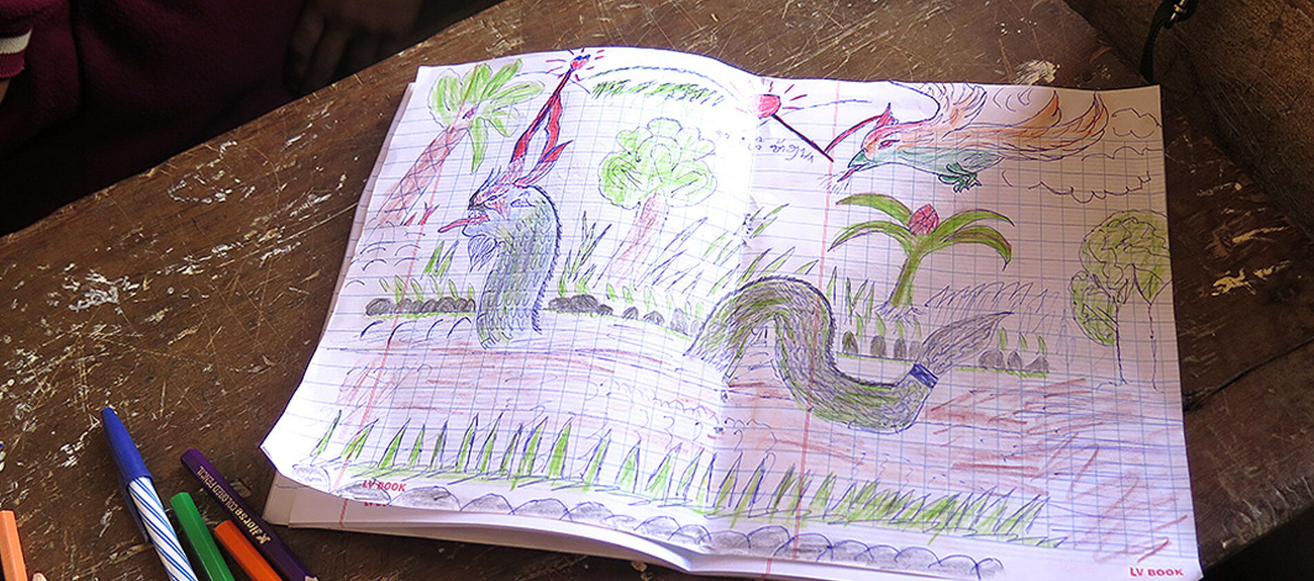 I Laos finns sagor med drakar. På bildlektionen var det många som valde att rita dem.