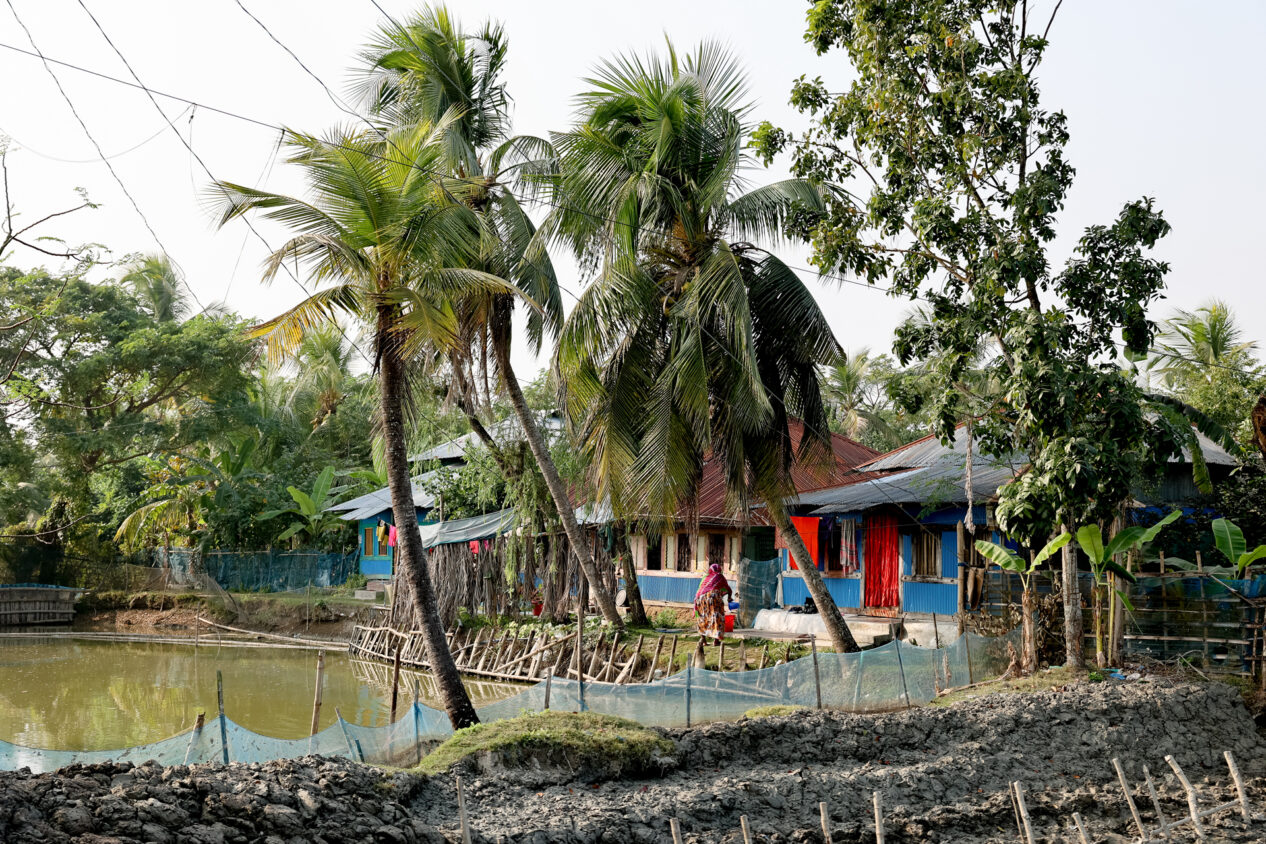 Ett blått hus vid vatten och palmer