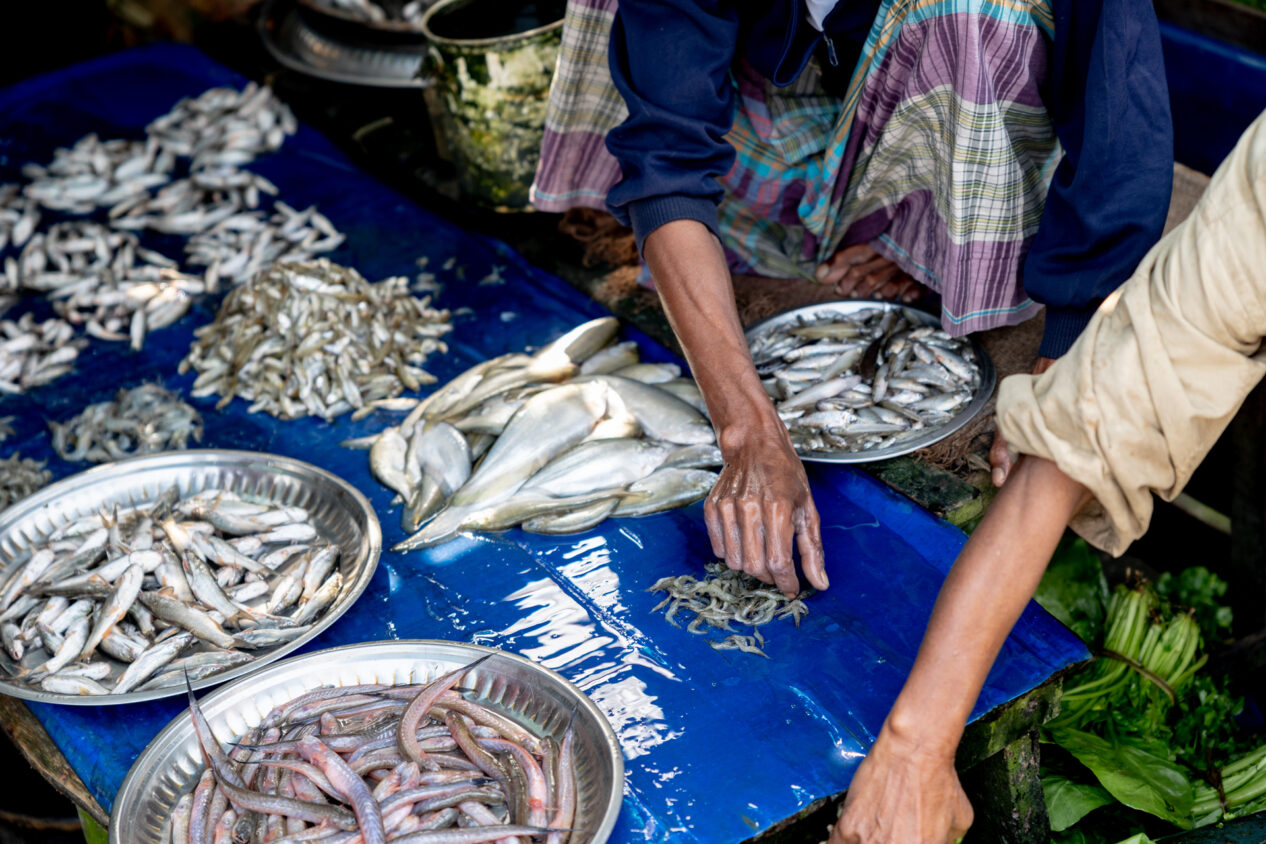 Två händer och mängder med fisk på en fiskmarknad i Bangladesh